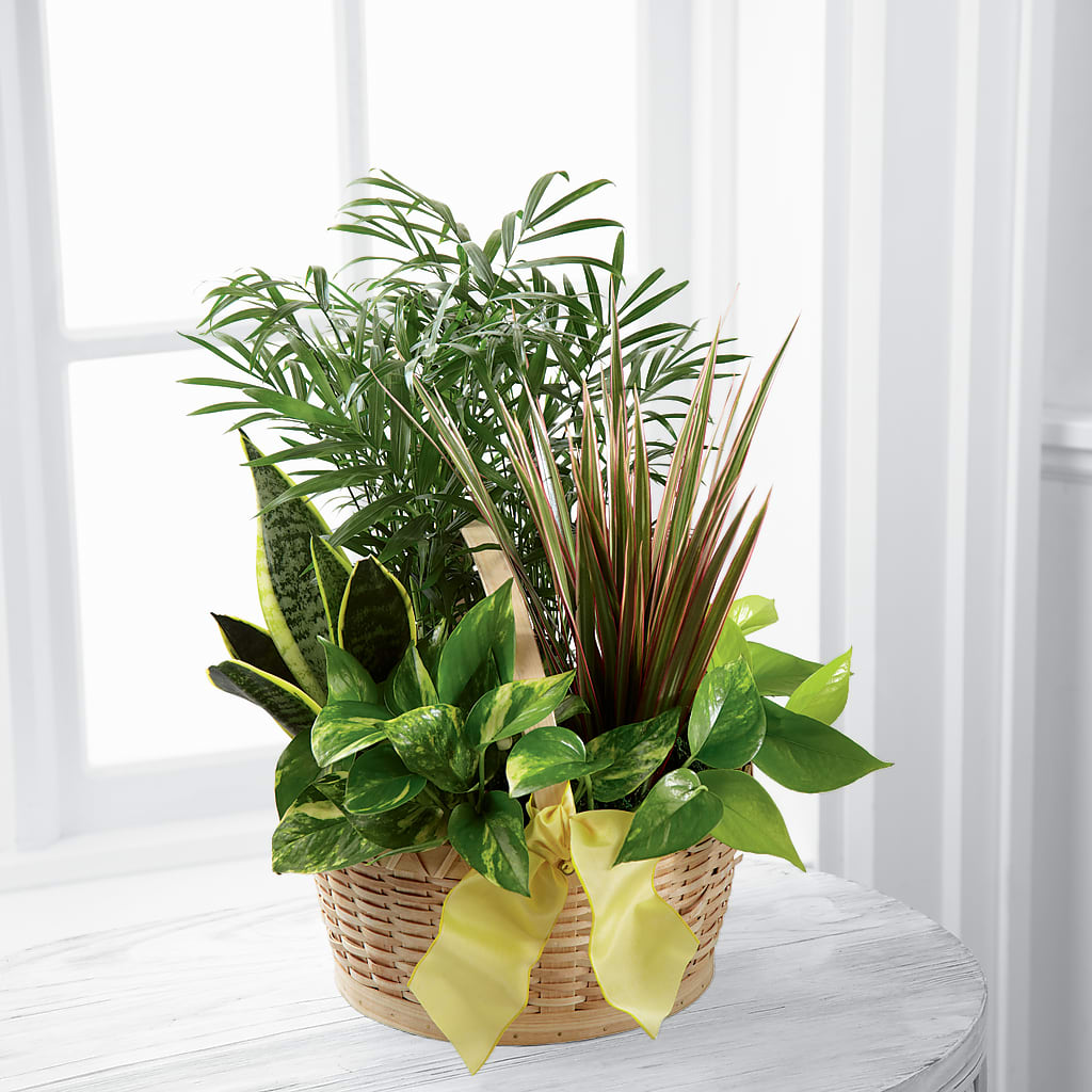 French Garden – Village Bloom Florist, Folsom LA