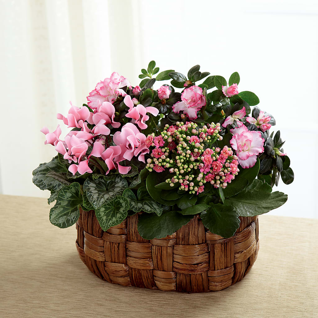 Pink Assortment – Village Bloom Florist, Folsom LA