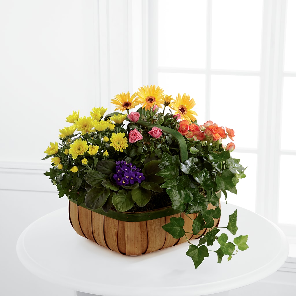 Gentle Blossoms Basket – Village Bloom Florist, Folsom LA
