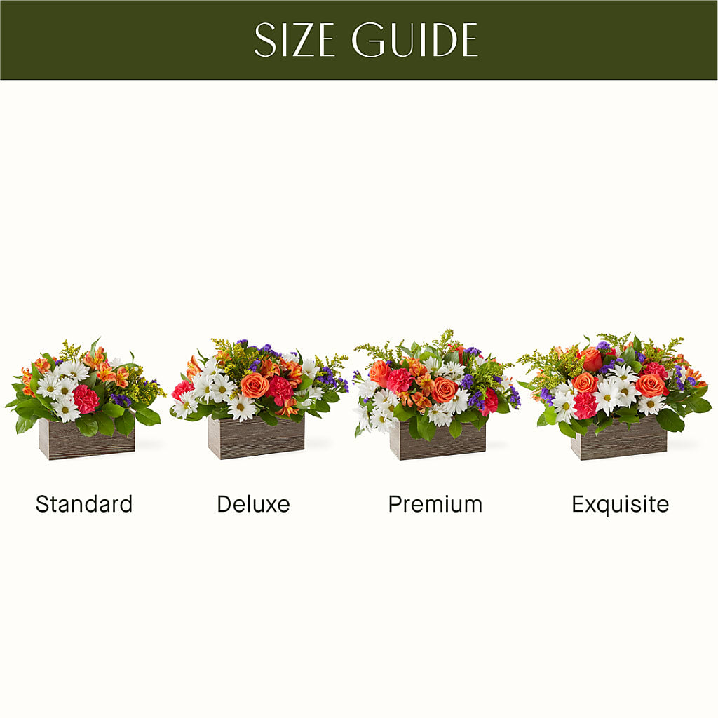 Oopsie Daisy Box Bouquet – Village Bloom Florist, Folsom LA