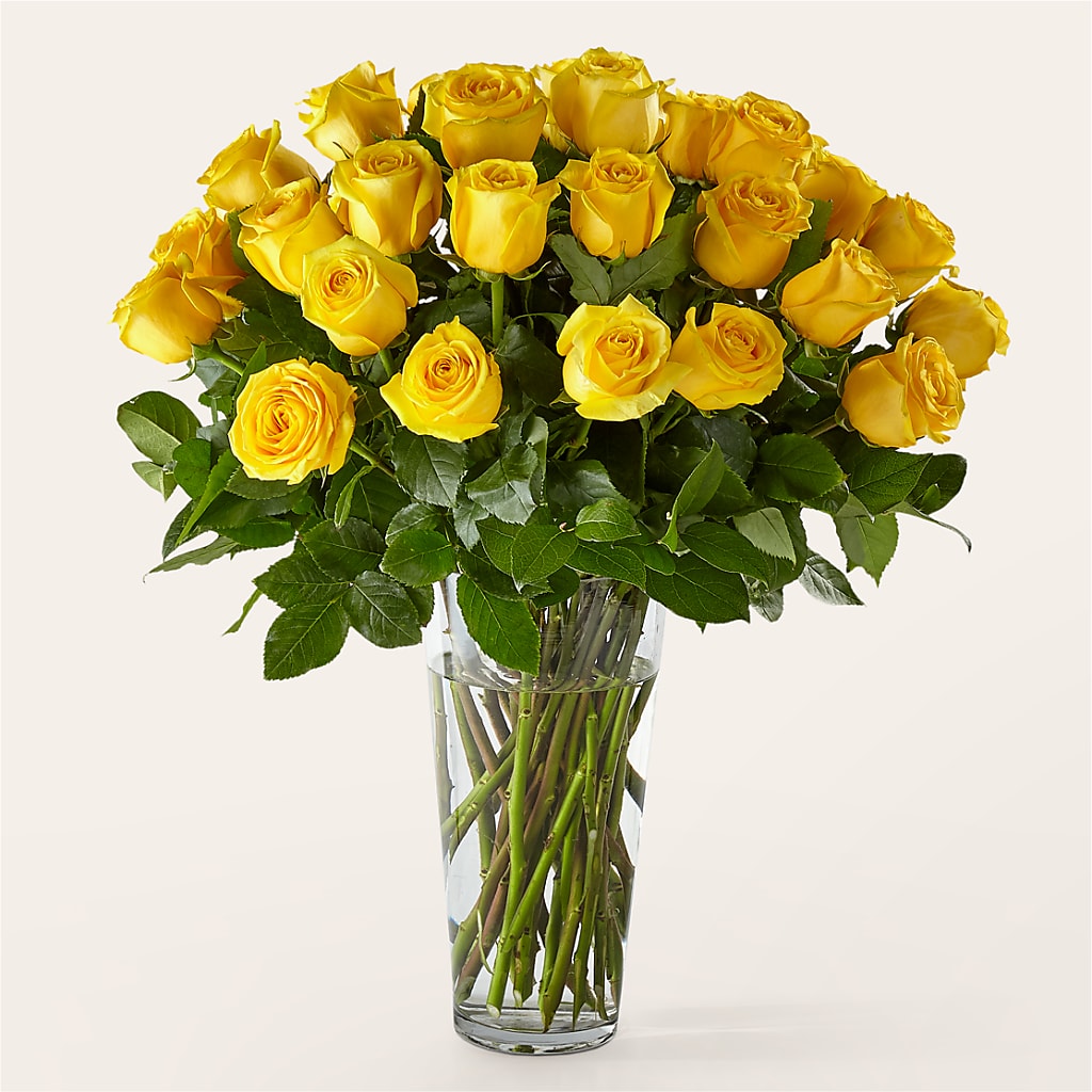 Long Stem Yellow Rose Bouquet – Village Bloom Florist, Folsom LA