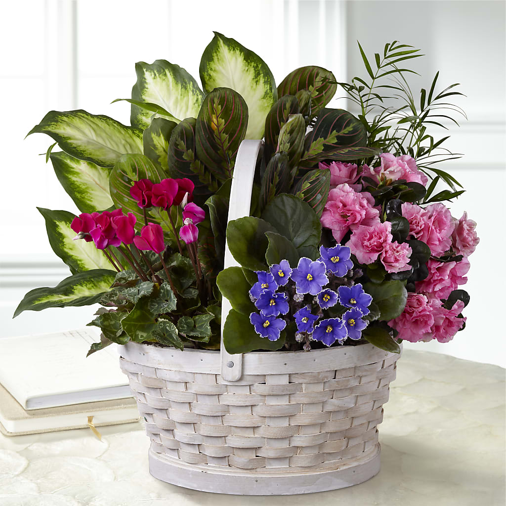 Peaceful Garden Planter – Village Bloom Florist, Folsom LA