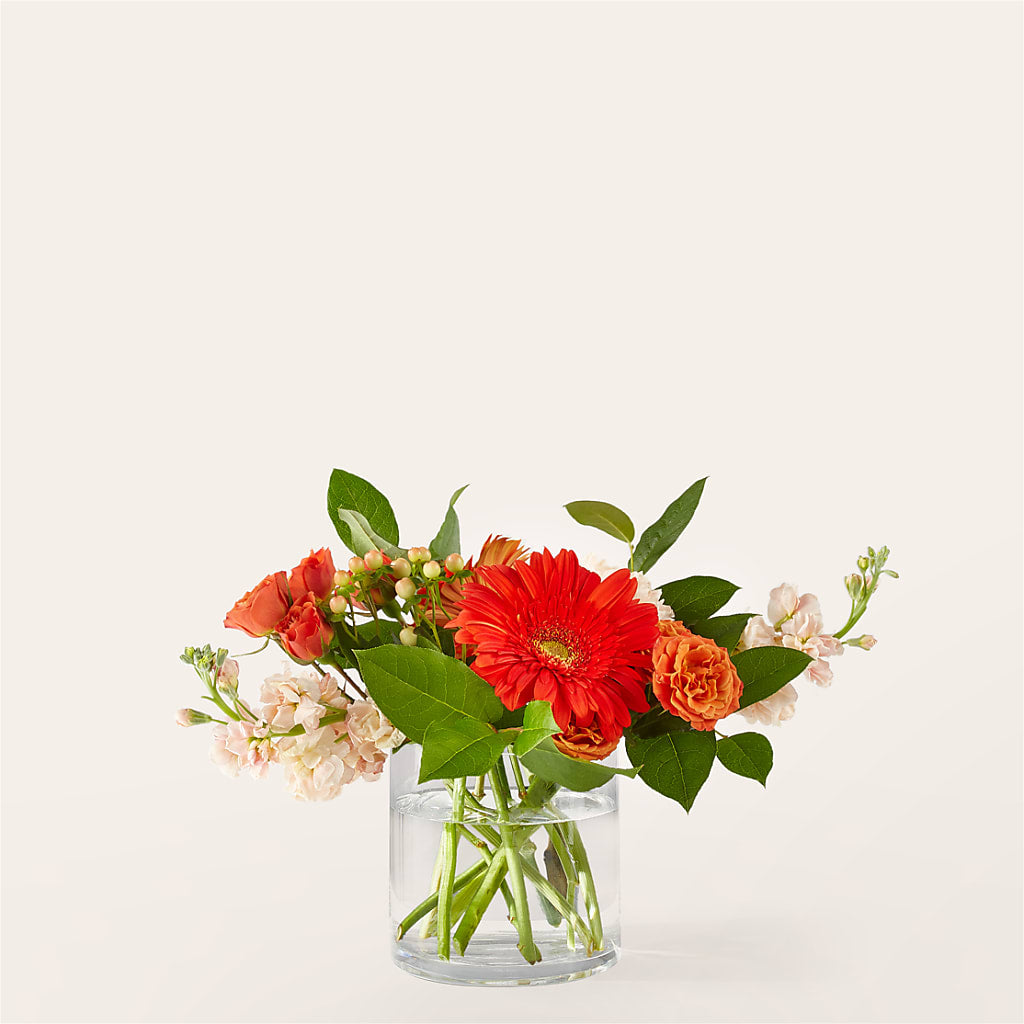 Paloma Please Bouquet – Village Bloom Florist, Folsom LA