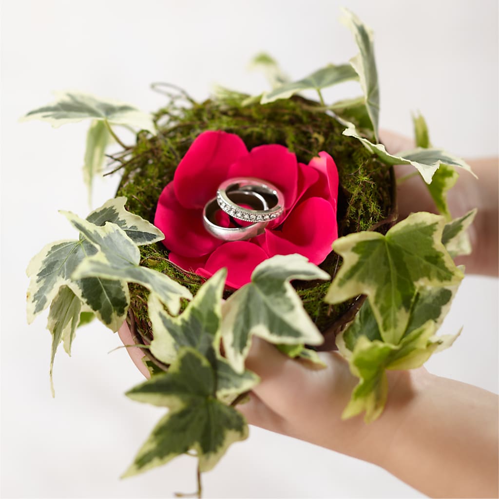 Lila Rose Ring Nest – Village Bloom Florist, Folsom LA