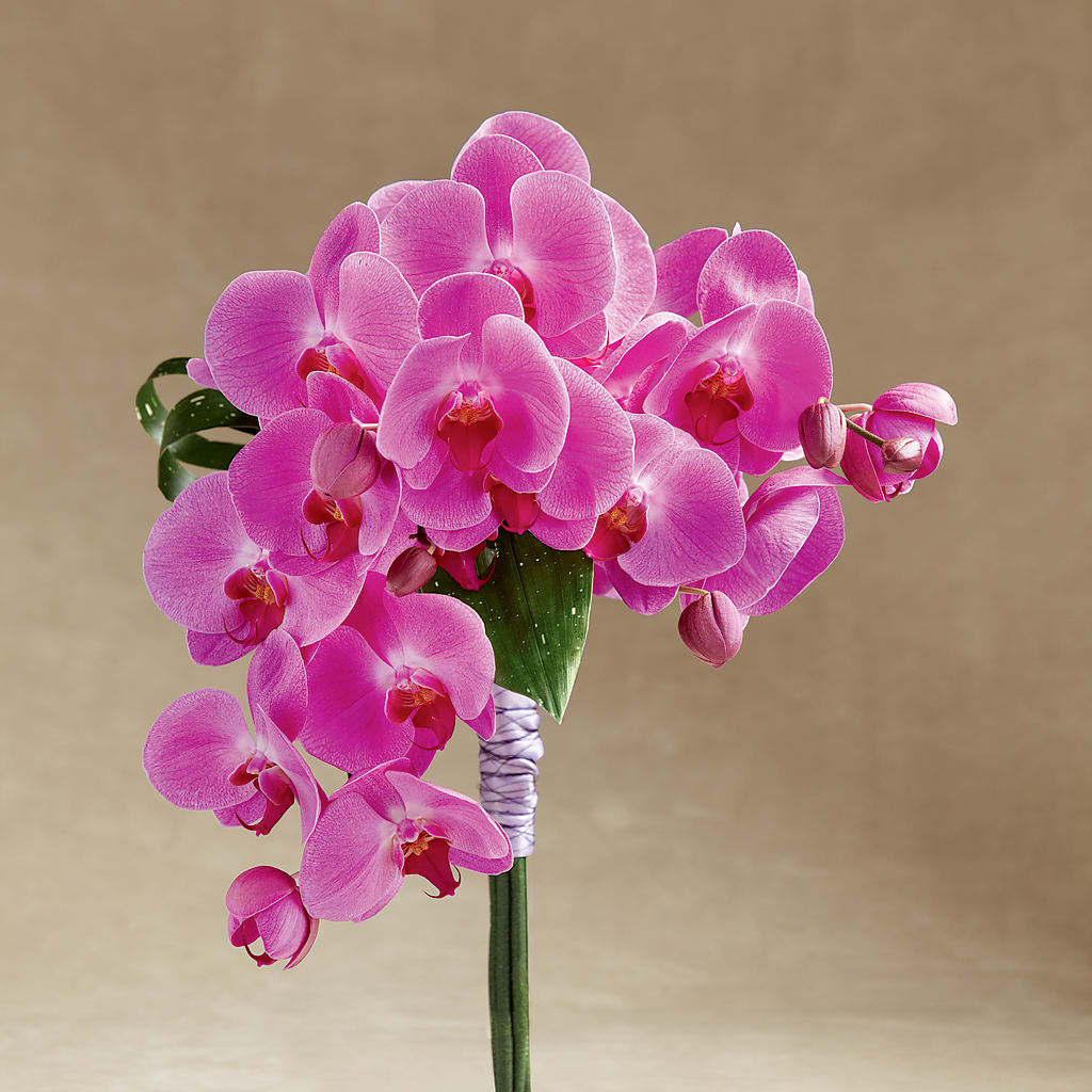 Glorious Bouquet – Village Bloom Florist, Folsom LA