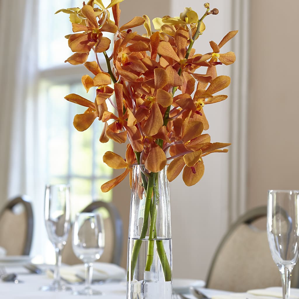 Orange Mokara Bud Vase – Village Bloom Florist, Folsom LA