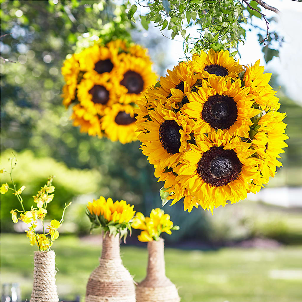 Sublime Garden Hanging Arrangement – Village Bloom Florist, Folsom LA