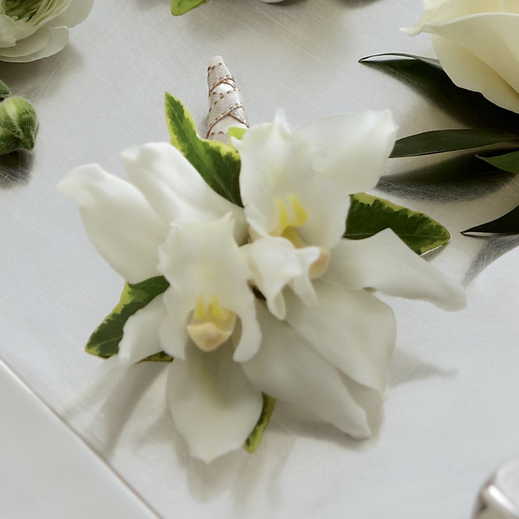 White Mini Cymbidium Boutonniere – Village Bloom Florist, Folsom LA