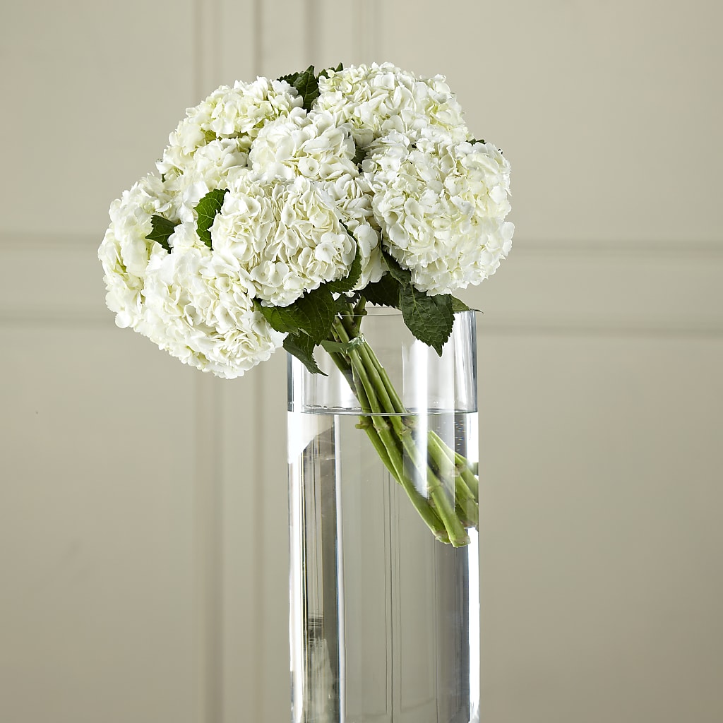 White Hydrangea Hand-Tied Bouquet – Village Bloom Florist, Folsom LA