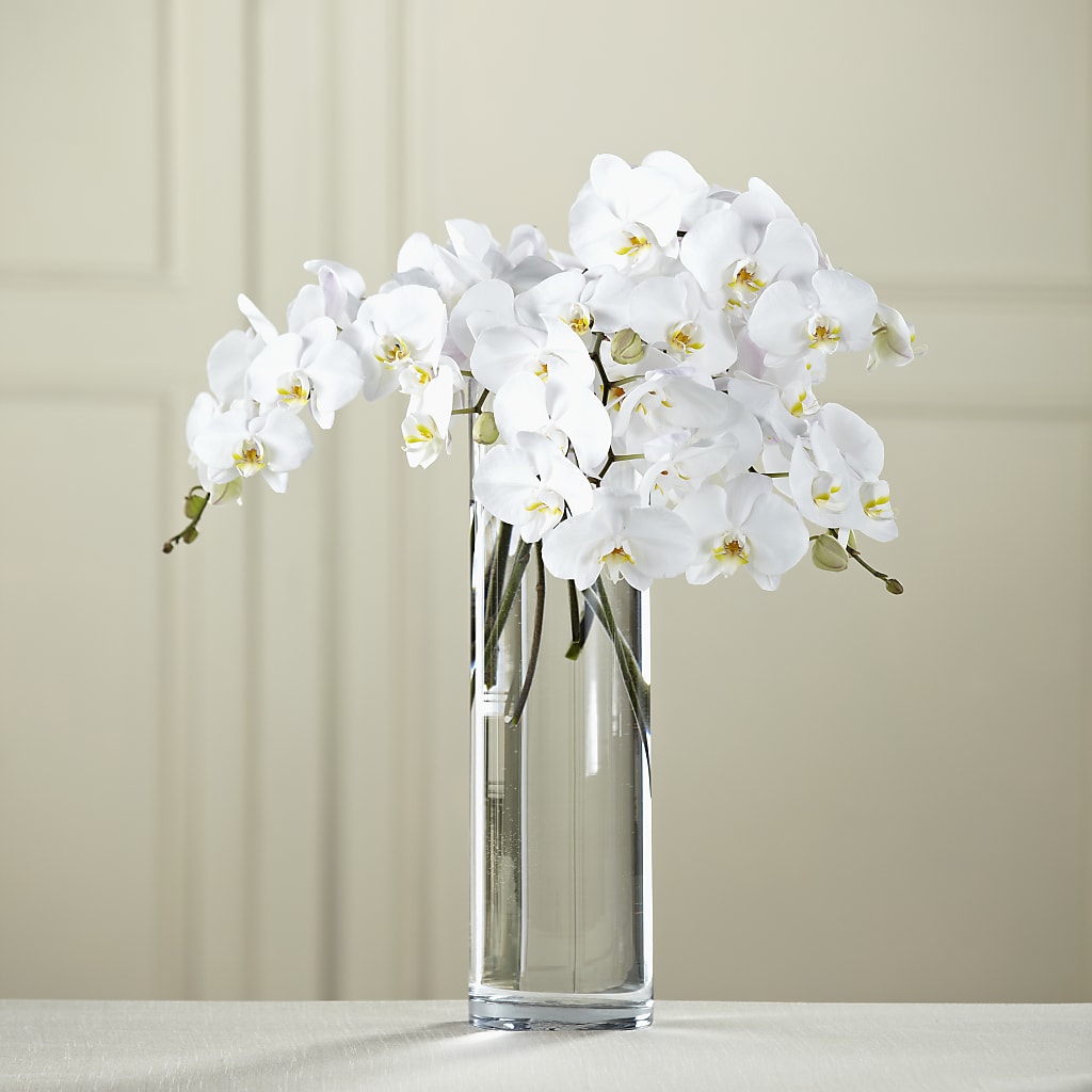 White Phalaenopsis Bouquet – Village Bloom Florist, Folsom LA