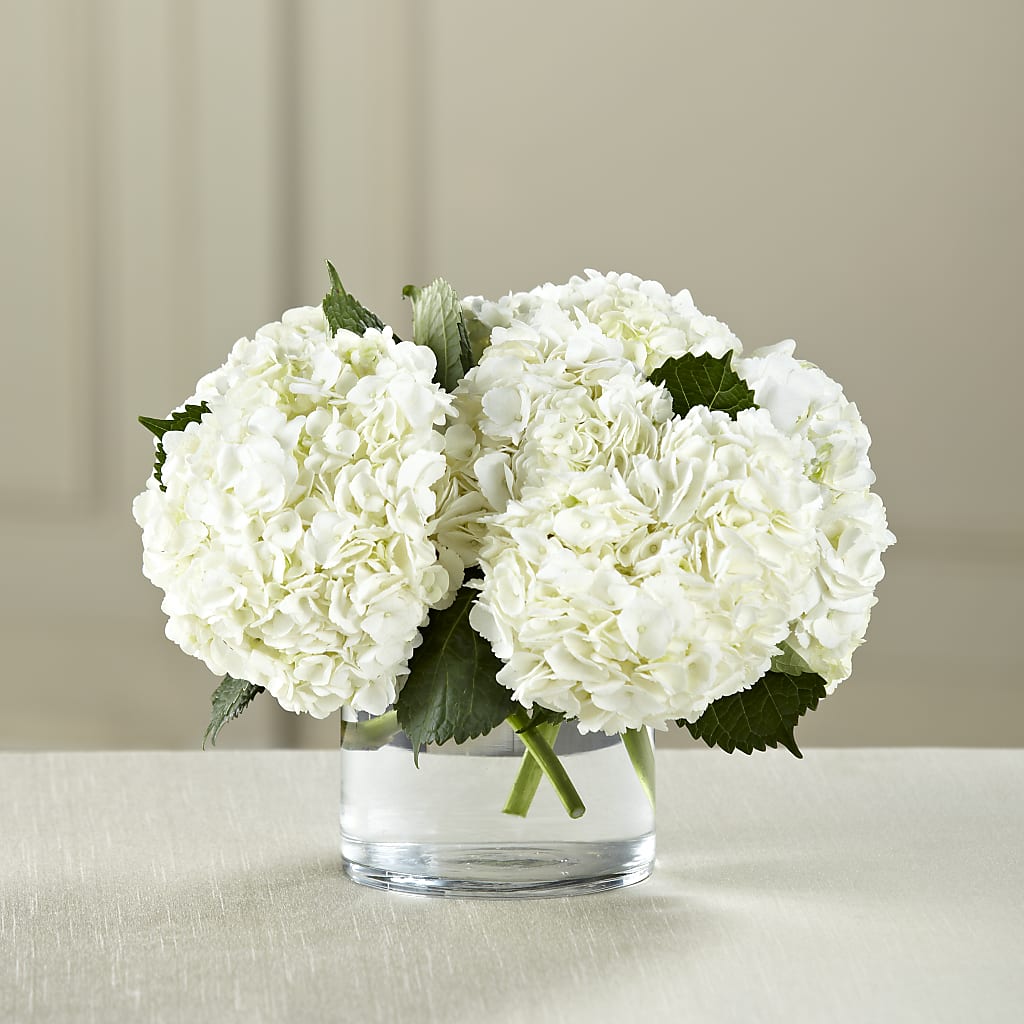 White Hydrangea Bouquet – Village Bloom Florist, Folsom LA