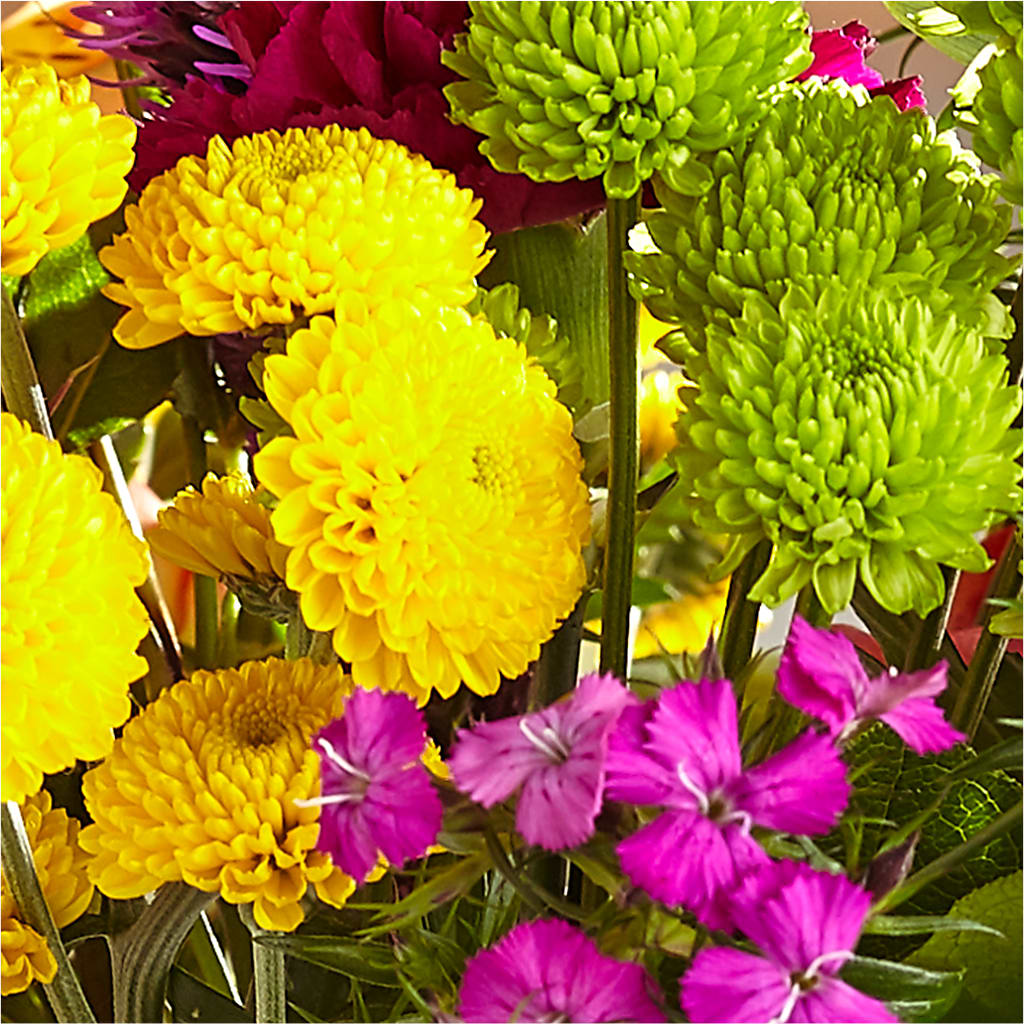 Bold & Bright – A Florist Original –  Village Bloom Florist, Folsom LA