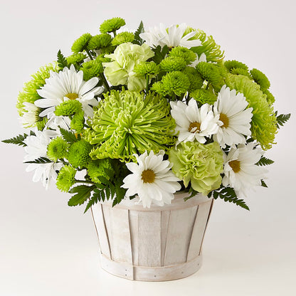Lucky Charm Basket (Standard) –  Village Bloom Florist, Folsom LA