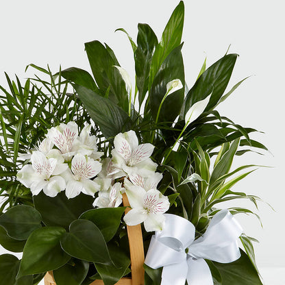 Peace & Serenity Dishgarden –  Village Bloom Florist, Folsom LA