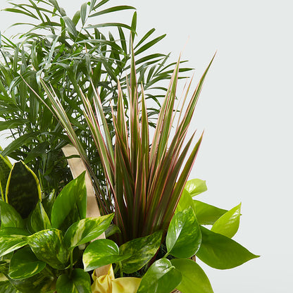 French Garden –  Village Bloom Florist, Folsom LA