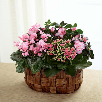 Pink Assortment –  Village Bloom Florist, Folsom LA