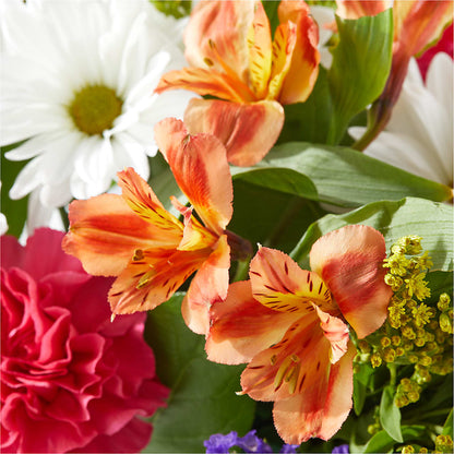 Oopsie Daisy Box Bouquet –  Village Bloom Florist, Folsom LA
