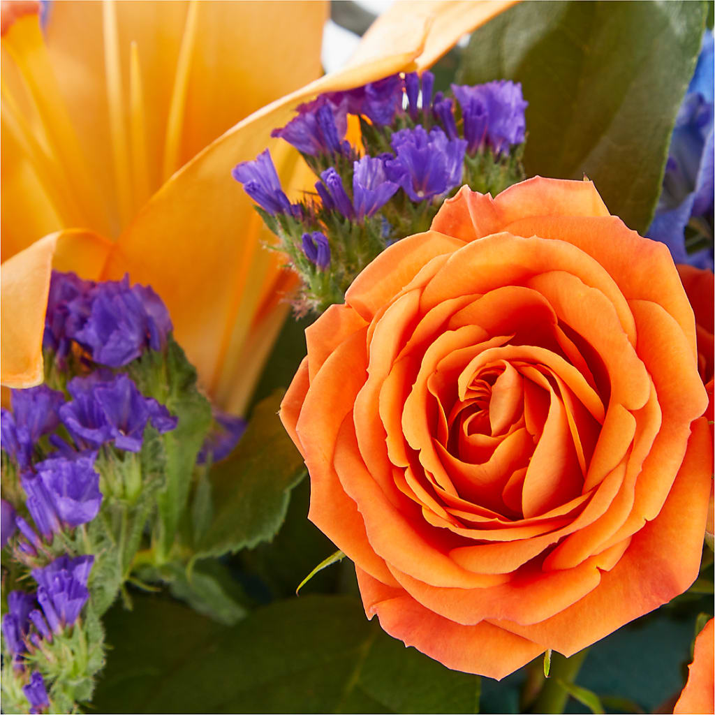 Radiant Citrus Box Bouquet –  Village Bloom Florist, Folsom LA