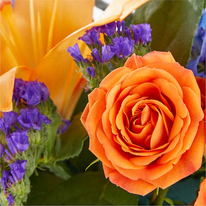 Radiant Citrus Box Bouquet –  Village Bloom Florist, Folsom LA