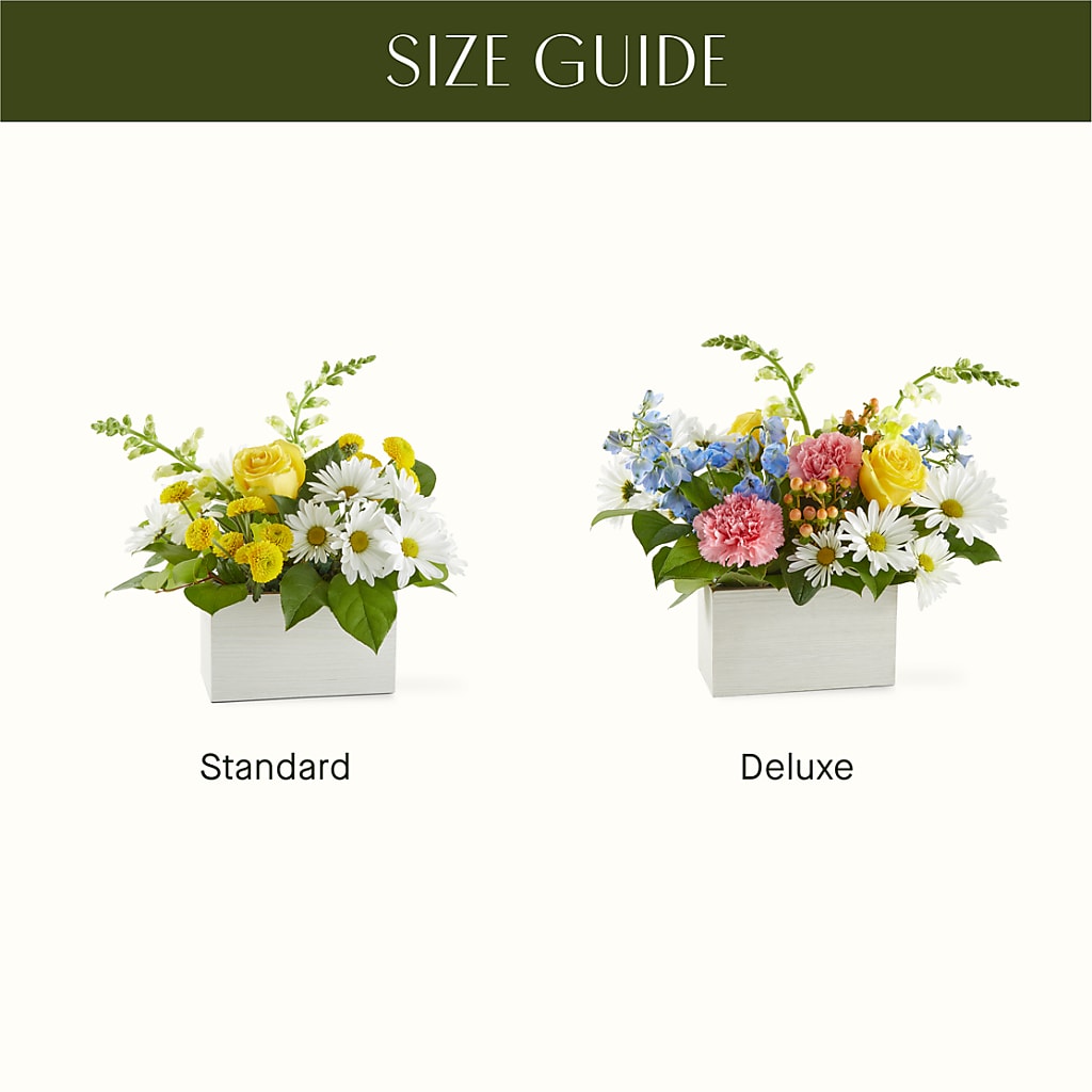 Sun Salutation Box Bouquet –  Village Bloom Florist, Folsom LA