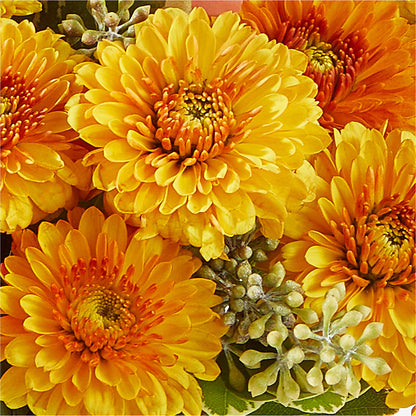 Peachy Pumpkin –  Village Bloom Florist, Folsom LA
