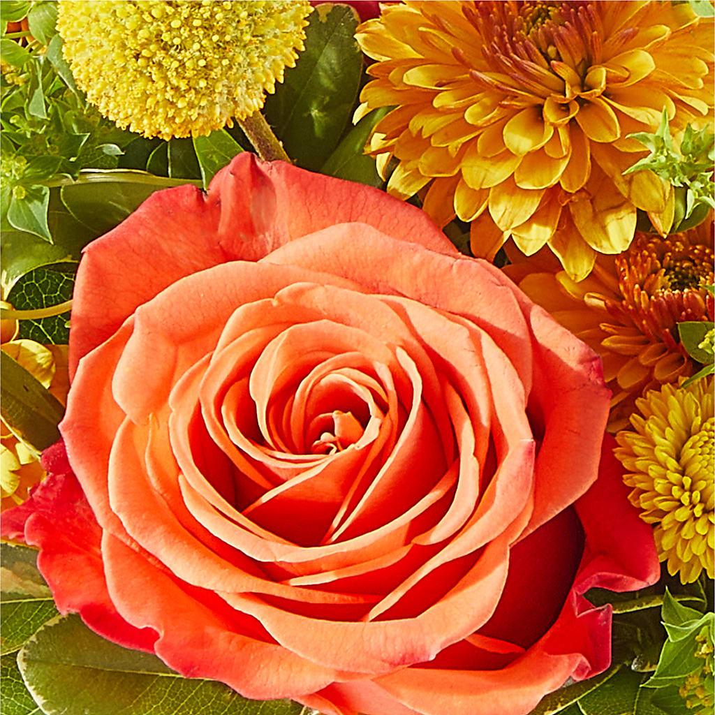 Gourdgeous Pumpkin –  Village Bloom Florist, Folsom LA