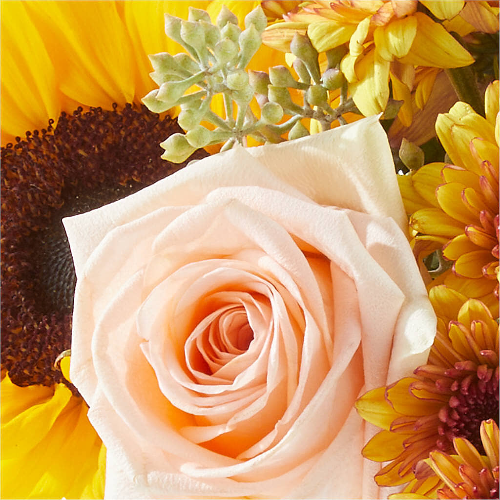 Pumpkin to Talk About Bouquet –  Village Bloom Florist, Folsom LA