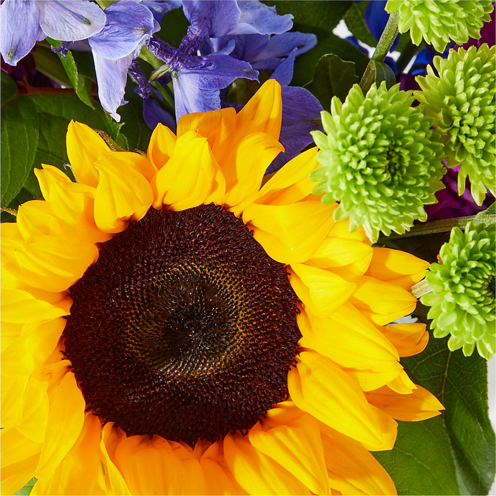 Catching Rays Bouquet –  Village Bloom Florist, Folsom LA