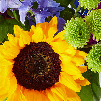 Catching Rays Bouquet –  Village Bloom Florist, Folsom LA