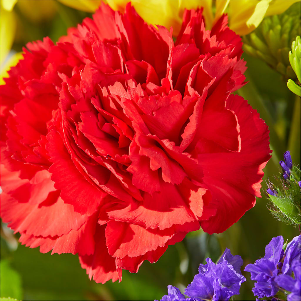 Brighter Days Bouquet –  Village Bloom Florist, Folsom LA