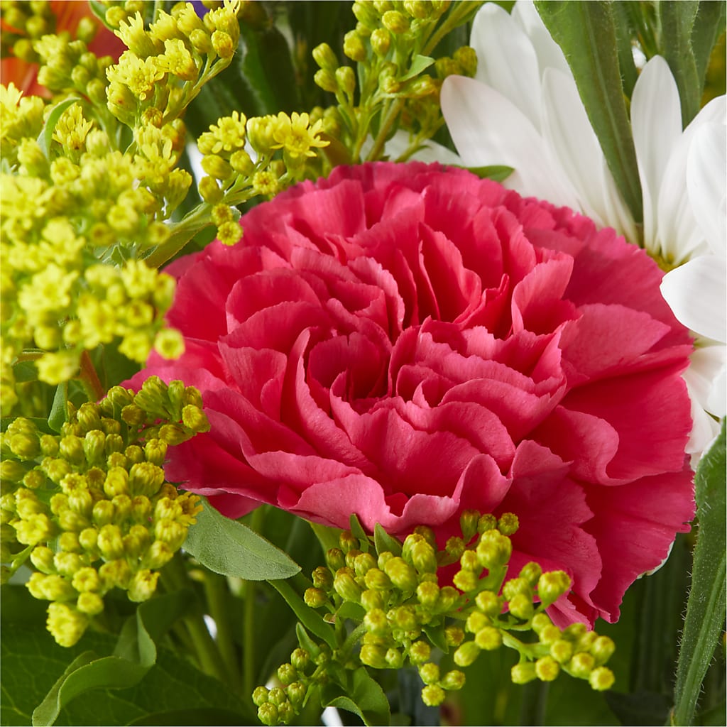 Oopsie Daisy Bouquet –  Village Bloom Florist, Folsom LA