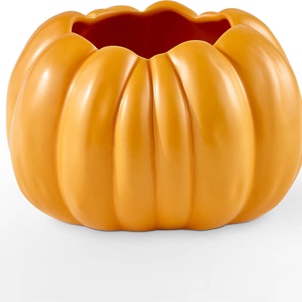 Pick of the Patch Pumpkin Bouquet –  Village Bloom Florist, Folsom LA
