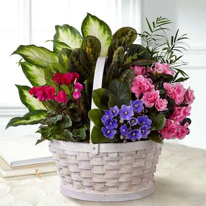Peaceful Garden Planter –  Village Bloom Florist, Folsom LA