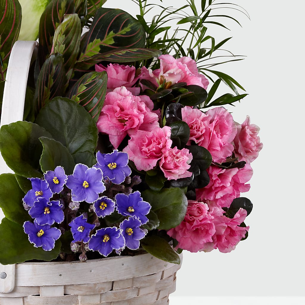 Peaceful Garden Planter –  Village Bloom Florist, Folsom LA