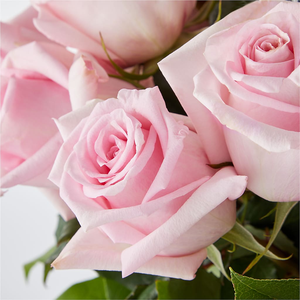 Picture Perfect Pink Rose Bouquet –  Village Bloom Florist, Folsom LA