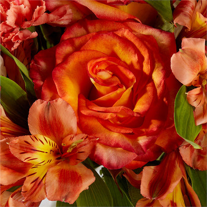 Apricot Glow Bouquet –  Village Bloom Florist, Folsom LA