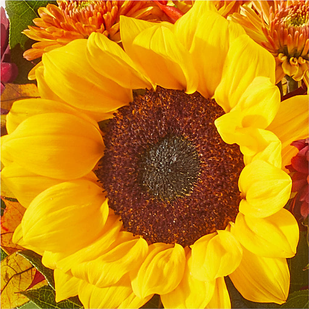 Sunny Side Bouquet –  Village Bloom Florist, Folsom LA