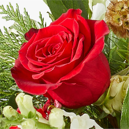 Deck the Halls Bouquet –  Village Bloom Florist, Folsom LA