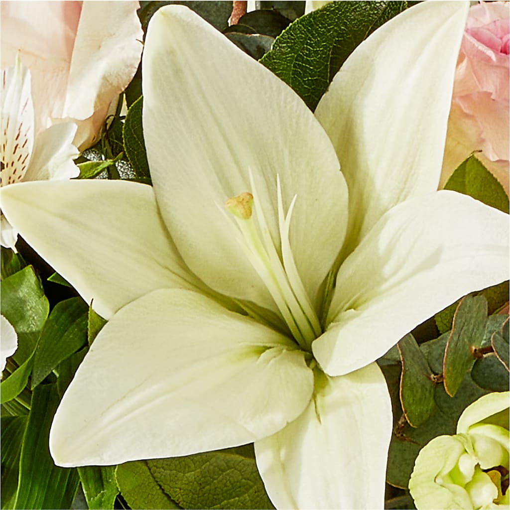 Ballet Slippers Bouquet –  Village Bloom Florist, Folsom LA