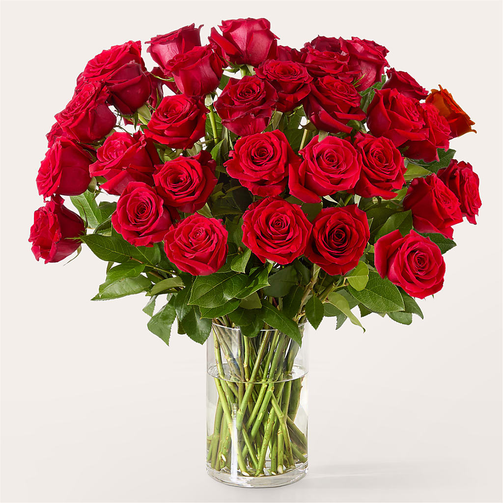 The One Red Rose Bouquet –  Village Bloom Florist, Folsom LA