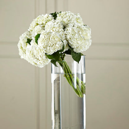White Hydrangea Hand-Tied Bouquet –  Village Bloom Florist, Folsom LA