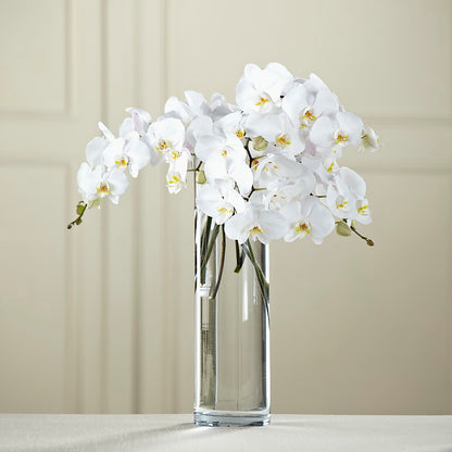 White Phalaenopsis Bouquet –  Village Bloom Florist, Folsom LA